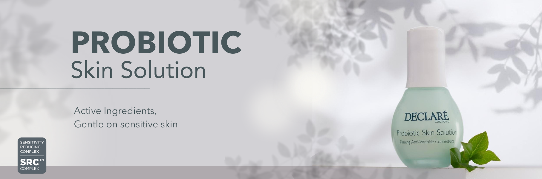 Desktop Banner 3