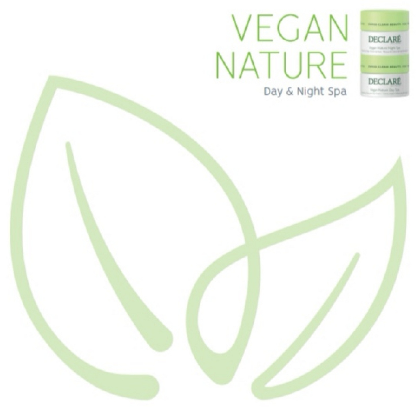 Declaré Skincare Vegan Nature Night Spa
